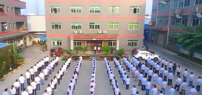 橡膠密封制品不論是在工業(yè)中還是生活中隨處可見，隨著橡膠密封件的需求在逐步增加，因此也涌現(xiàn)了很多大大小小的橡膠密封件廠家。      雖然橡膠密封件廠家在增加，但其中也不乏有很多作坊型的小廠家，憑借低廉的成本來維持運轉(zhuǎn)，那么怎么樣才能找到合適的橡膠密封件廠家呢？今天東盛迪密封從客觀的角度教大家如何判斷橡膠密封件廠家是否專業(yè)的。  1、基本了需要具有橡膠密封件的生產(chǎn)資質(zhì)，也就是我們常說的營業(yè)執(zhí)照，從營業(yè)執(zhí)照上我們可以了解很多重要信息，比如經(jīng)營范圍，成了時間，從成立時間上我們可以看到是否具備一定的生產(chǎn)經(jīng)驗。  2、橡膠密封件廠家是否具有相關(guān)產(chǎn)品的開發(fā)，制造經(jīng)驗，必要時可以要求提供相關(guān)樣品，相關(guān)的生產(chǎn)設備也是必不可少的，避免層層轉(zhuǎn)包。  3、是否通過ISO19001質(zhì)量體系認證，雖然目前國內(nèi)并不是很規(guī)范，但是還是具有一定的約束力的。根據(jù)產(chǎn)品的應用領域各行各業(yè)也都有各自的標準體系，例如汽車行業(yè)的TS16949認證等等。  4、橡膠密封件廠家是否具有橡膠原材料的配方及模具的開發(fā)制造能力，一個橡膠密封件廠家是否能夠滿足設計要求，從材料研發(fā)，模具開發(fā)，到最后的生產(chǎn)制造，每一步都至關(guān)重要。能把這些關(guān)鍵的技術(shù)掌握早自己手里的企業(yè)當然更具優(yōu)勢。  5、更關(guān)鍵的還是要到橡膠密封件廠家現(xiàn)場考察，可充分了解管理、質(zhì)量體系等各方面實力。      除了以上幾點之外還可以從業(yè)界口碑、技術(shù)團隊、生產(chǎn)設備、檢測設備等等多方面考察橡膠密封件廠家的專業(yè)程度。東盛迪密封18年橡膠密封件廠家，擁有現(xiàn)代化標準廠房20000多平方米，三十多名專業(yè)技術(shù)員，提供從產(chǎn)品設計，模具開發(fā)直至成品制成的一站式解決方案，歡迎到廠參觀考察。